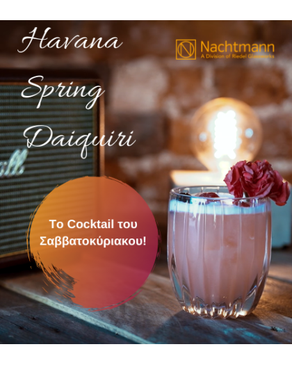 https://www.parousiasi.live/image/cache/catalog/journal3/articles/havana-spring-daiquiri-420x525.png https://www.parousiasi.live/image/cache/catalog/journal3/articles/havana-spring-daiquiri-420x525.png