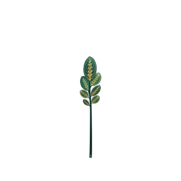 Vesta Calathea πράσινο small σειρά Funny Flowers Vesta Calathea πράσινο small σειρά Funny Flowers
