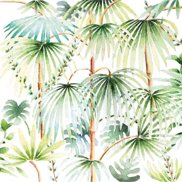 Paperproducts Design - PPD Χαρτοπετσέτα 33x33cm σειρά Palmiers Paperproducts Design - PPD Χαρτοπετσέτα 33x33cm σειρά Palmiers