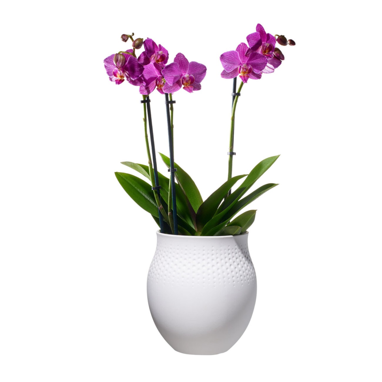 Villeroy & Boch Βάζο 16,5x16,5x17,5 εκ. Perle σειρά Collier Blanc Βάζα