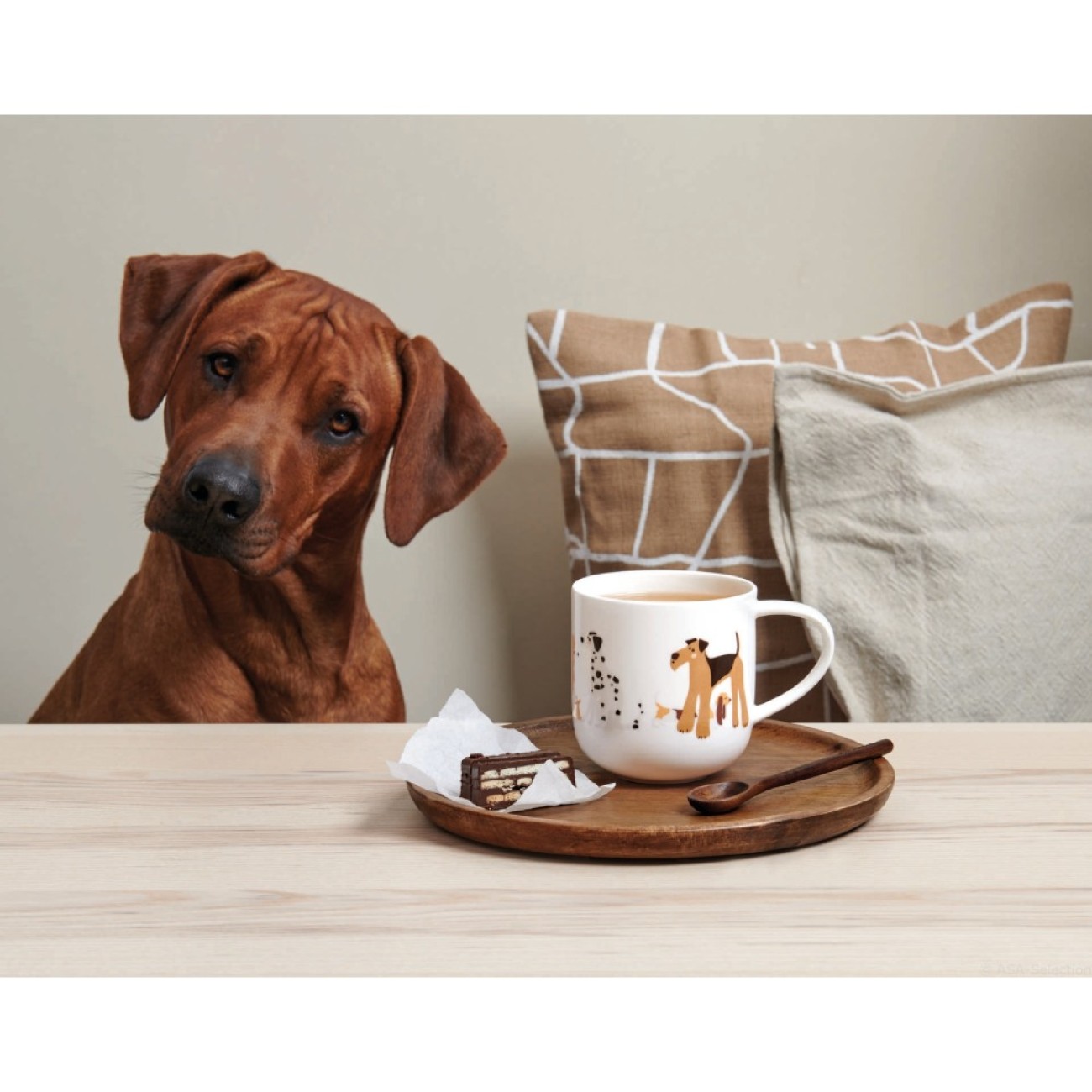 ASA Selection Κούπα 400ml dogs σειρά Coppa Cats & Dogs Καφές/ Τσάι