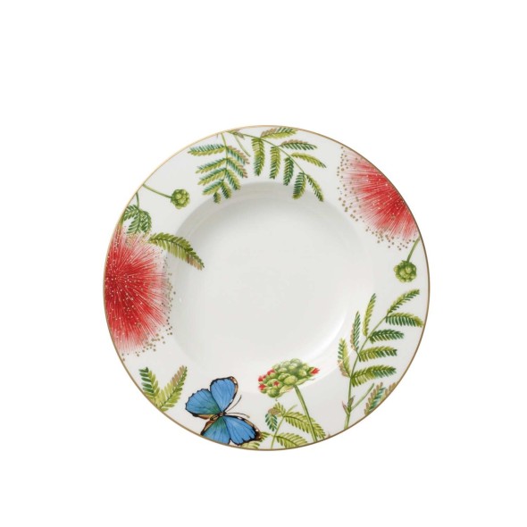 Villeroy & Boch Πιάτο σούπας 24,8 εκ./330ml στρογγυλό σειρά Amazonia Villeroy & Boch Πιάτο σούπας 24,8 εκ./330ml στρογγυλό σειρά Amazonia