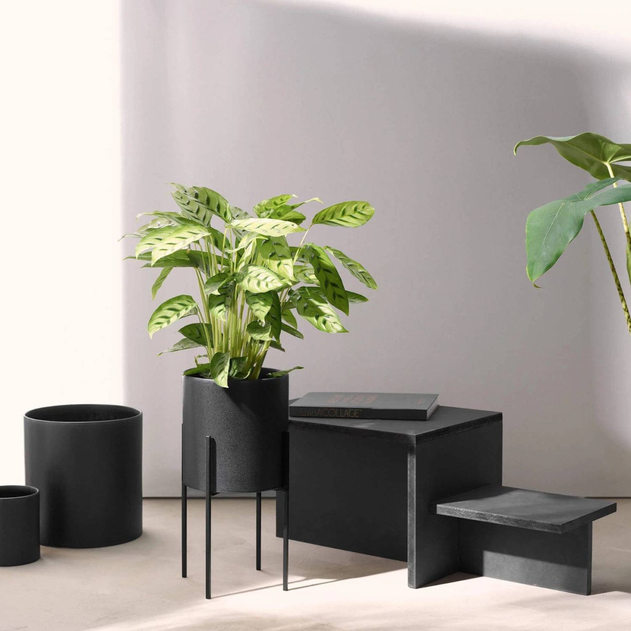 Asa Selection Βάση για κασπώ 15x15x26εκ μαύρη σειρά Haruko Τεχνητά άνθη