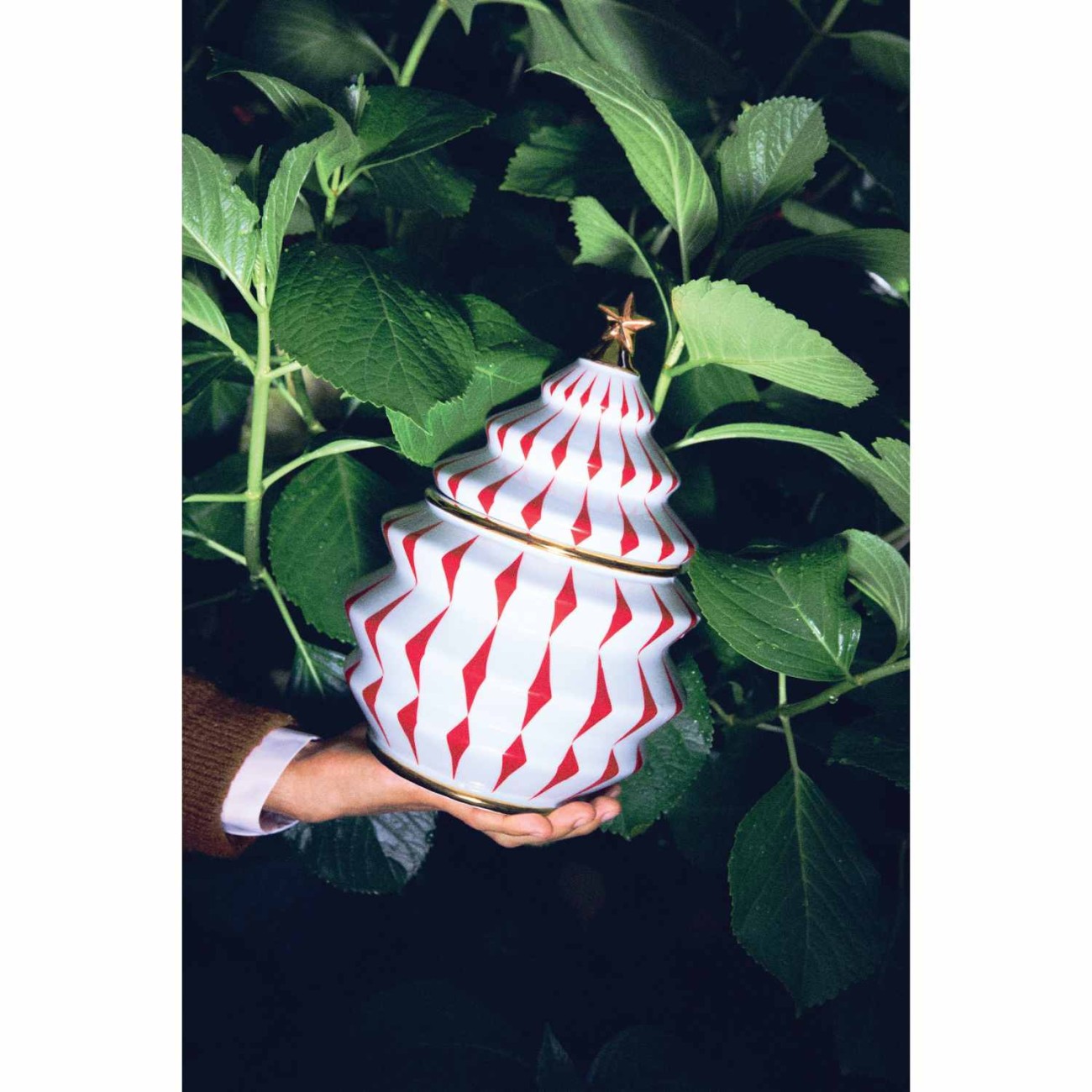 Alessi Δοχείο πορσελάνινο 19Χ28 εκ./210 cl σειρά Delight Χριστουγεννιάτικα