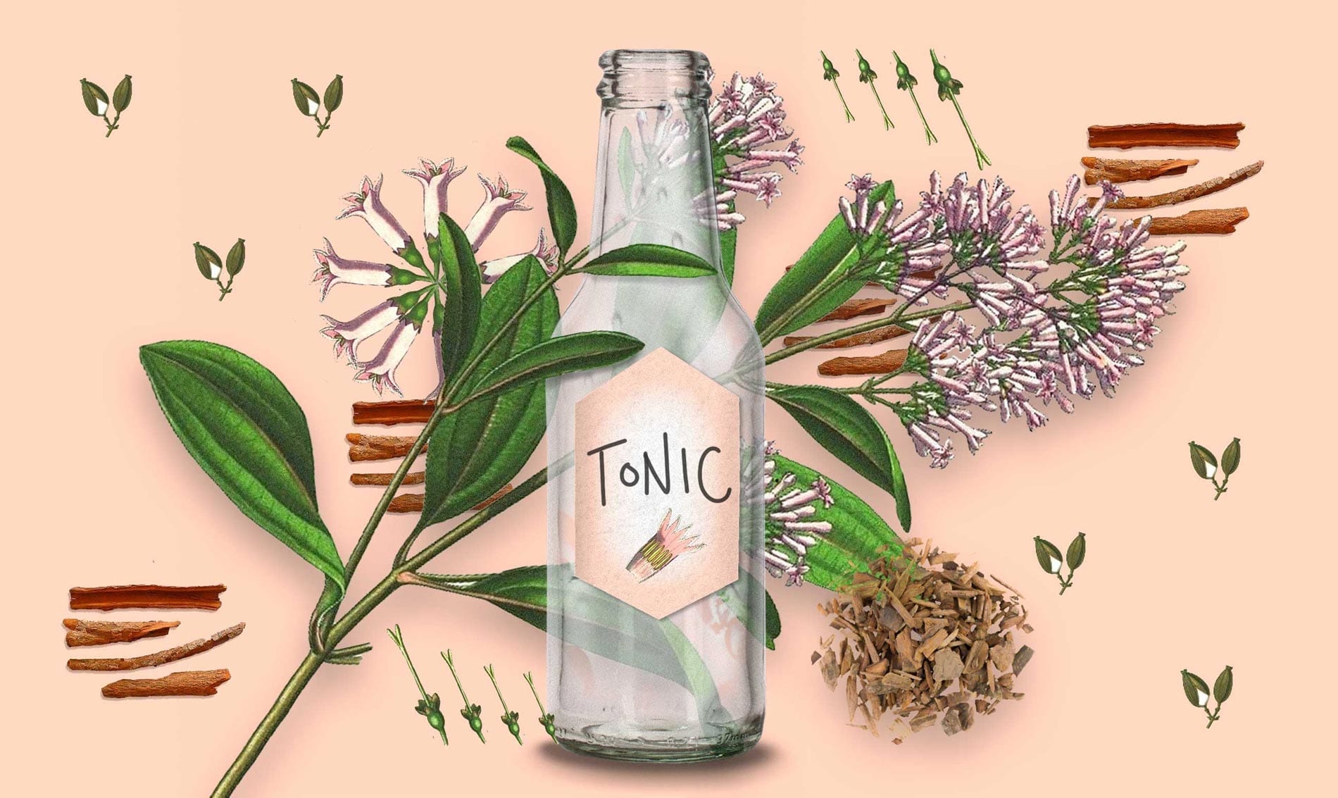 Gin Tonic Gin Tonic
